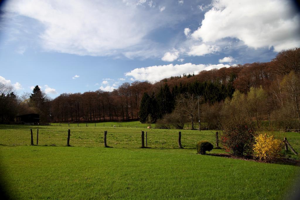 Une Parenthese En Ardenne Nollevaux 部屋 写真